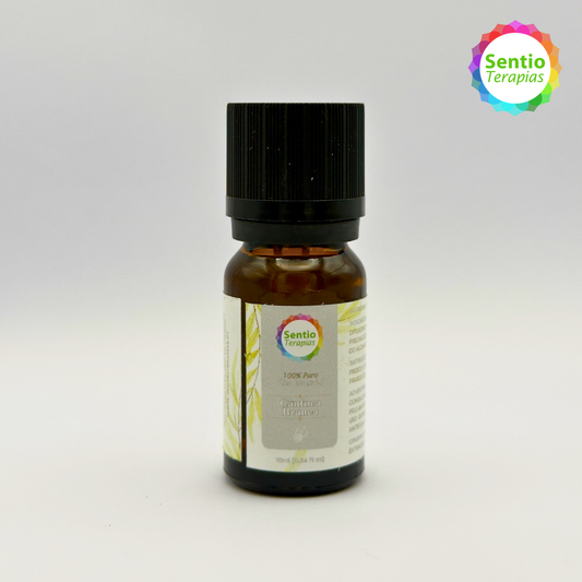 Óleo Essencial - Cânfora Branca