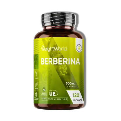 Berberina 500 mg – 120 cápsulas