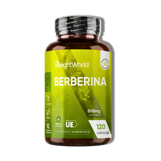 Berberina 500 mg – 120 cápsulas