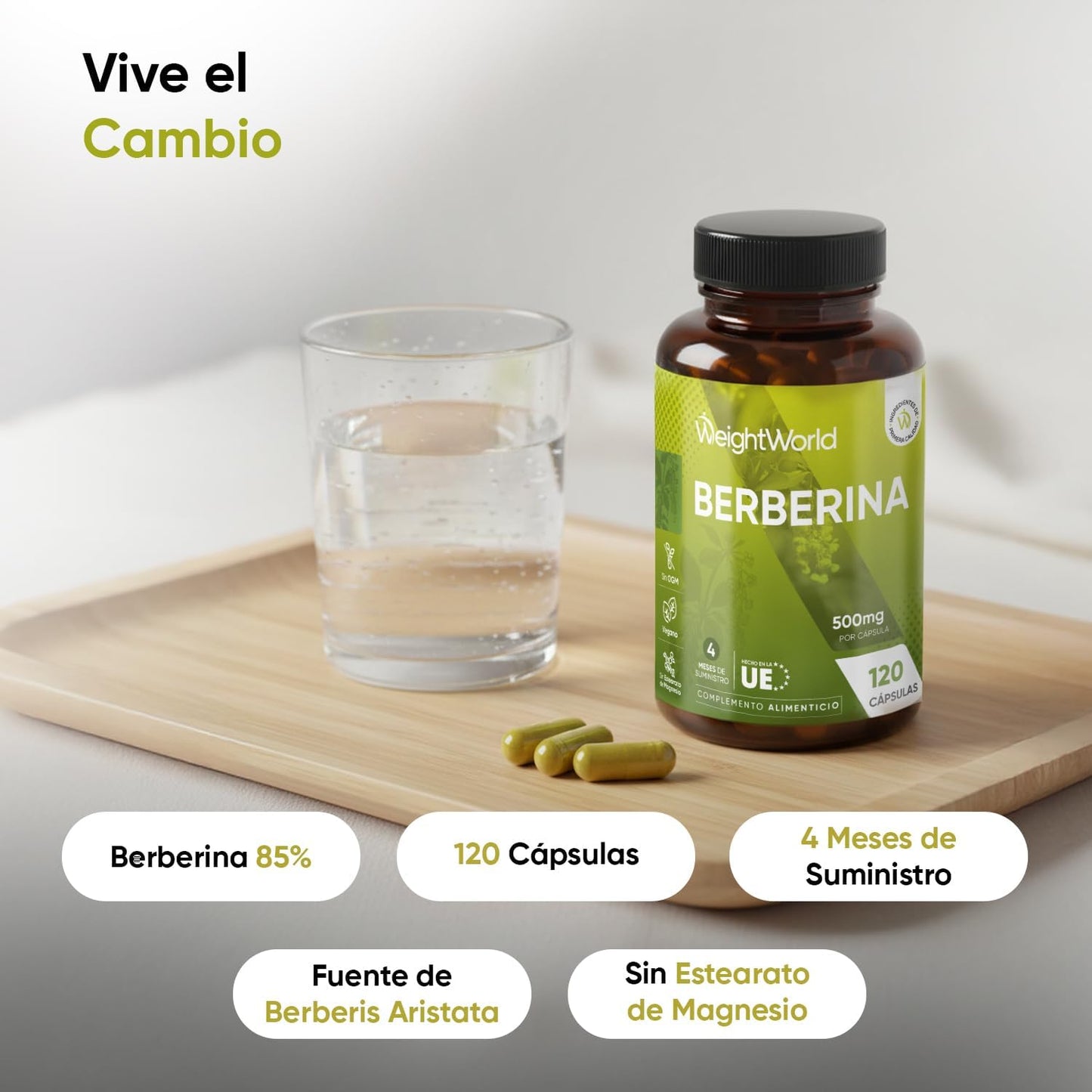 Berberina 500 mg – 120 cápsulas