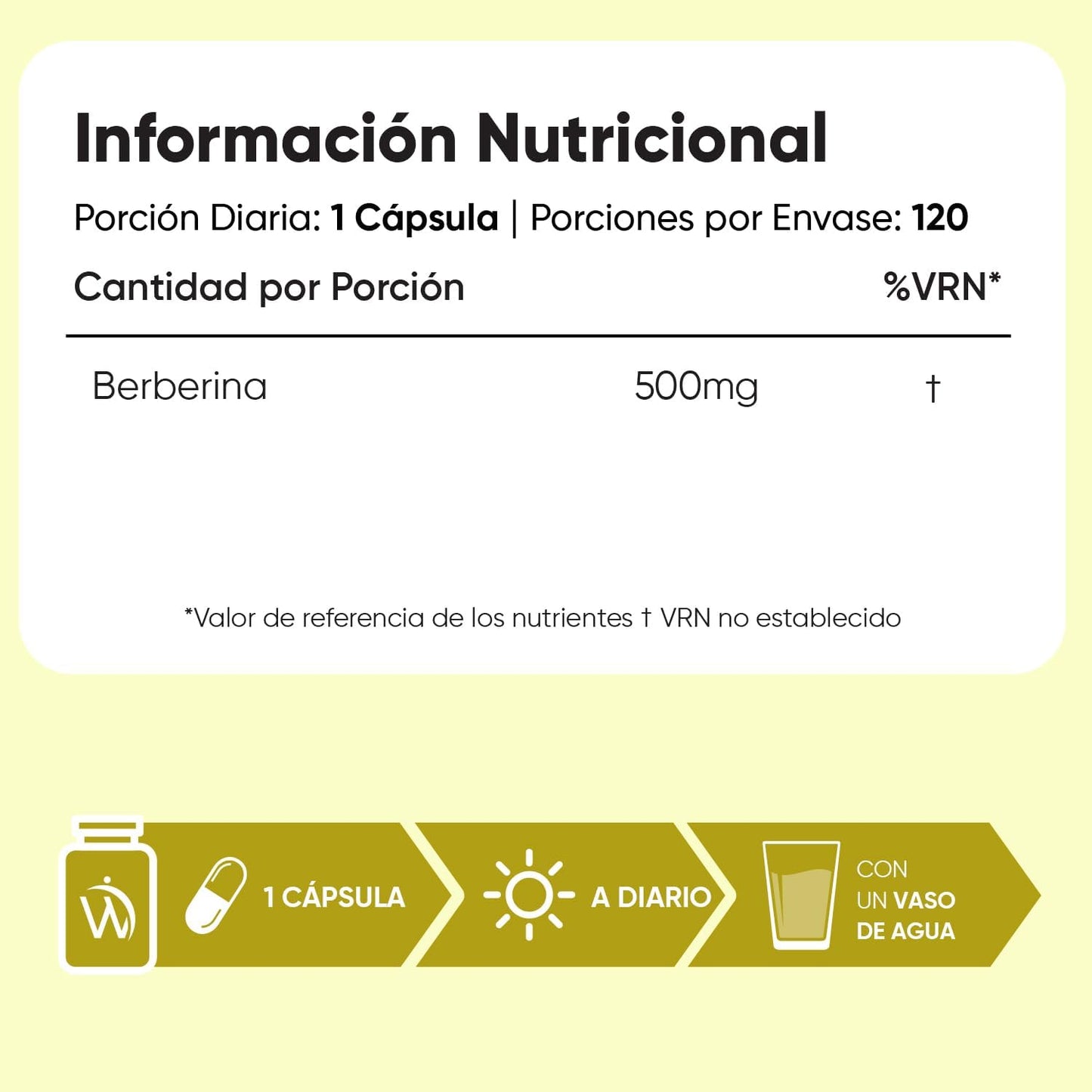 Berberina 500 mg – 120 cápsulas