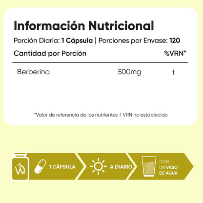 Berberina 500 mg – 120 cápsulas